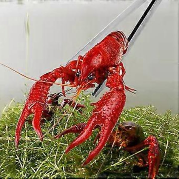 Hushållssköldpaddsklämma Multifunktionell Krabbklämma Praktisk Ålklämma Hemtillbehör