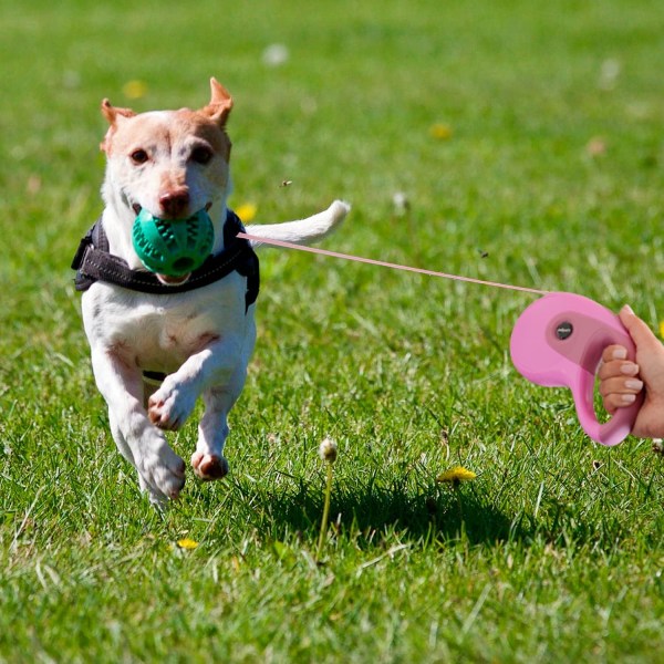 Inntrekkbar hundelufting med automatisk inntrekkbar hund T