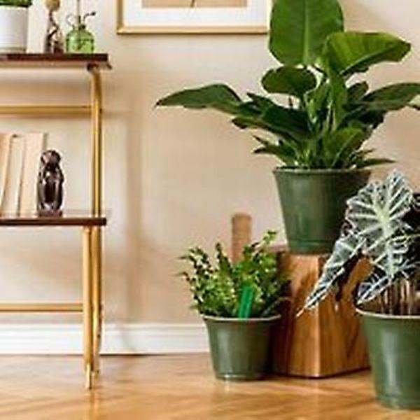 2 kpl Tukeavastaavat Kiipeilykasveille Laajennettava Kokos-Sammaltikku
