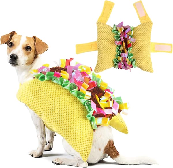 Taco-kostume til hund, Halloween-kostumer til hunde, Dég