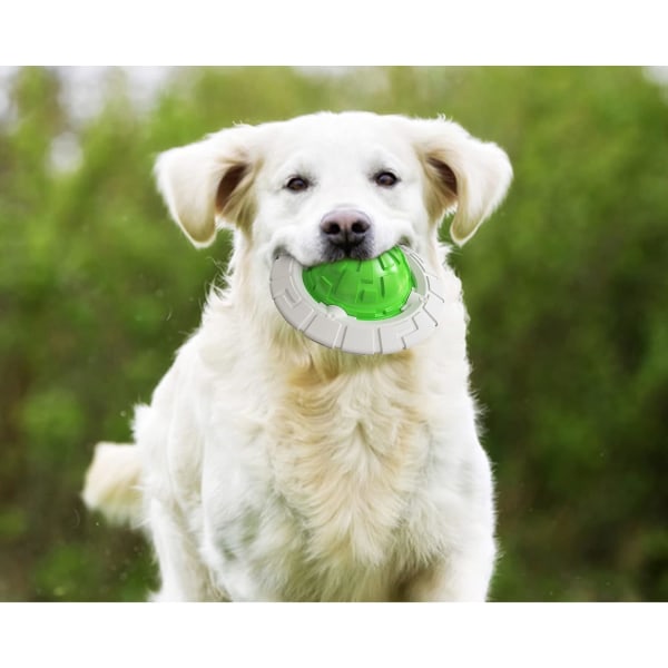 Vert - Pipande hundtuggleksak, träningsleksak