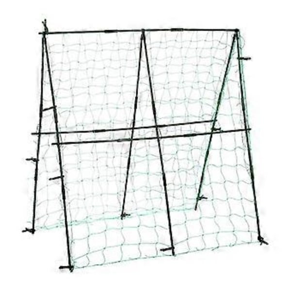 Agurke espalier robust til agurk tomat drue højbed klatreplanter