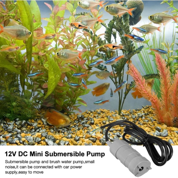 12V upotettava vesipumppu, upotettava, matkailuautoon lampeen, A