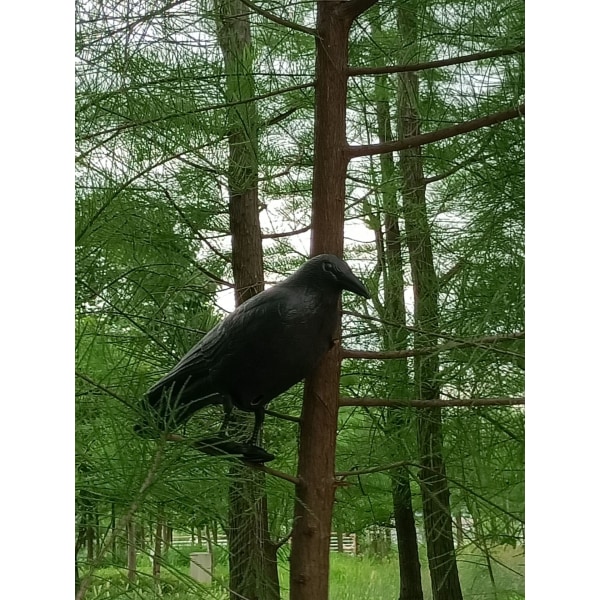 Plast Black Crow, Bird Repellent Solution, Scare Pigeons och Bi