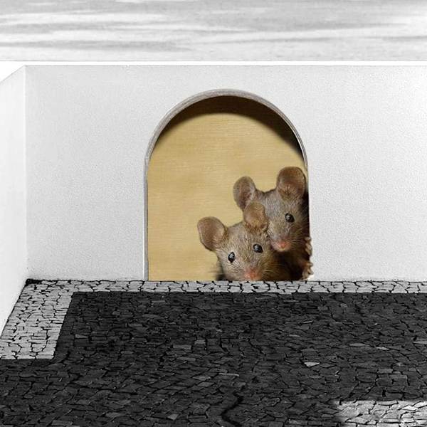 3D vægklistermærker, 5 stk. musehul vægklistermærker realistiske musehul klistermærker til hjem soveværelse L