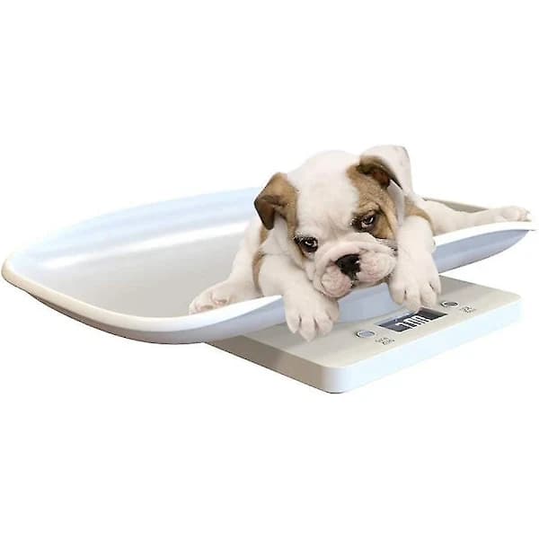 Multifunctional Digital Pet Scale Large LCD Display Electronic Scale Weight 10kg Capacity Pets