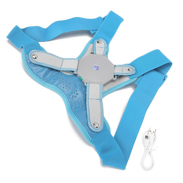 Posture Corrector Trainer med sensorvibrationspåmindelse Rygbøjle glattejern Blå