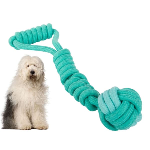 Draleke / Kampleke for Hund - Hundeleke