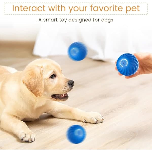 Paris Self-Rolling Ball for Dogs, Smart Self Moving Ball with 2 Modes Long Battery Life, Intelligent Teasing Cat Ball with Replaceable Shell