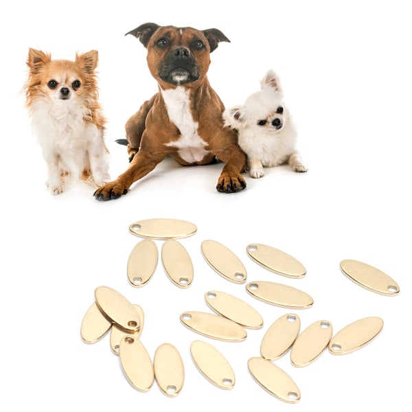 20 kpl ruostumattomasta teräksestä tehdyt soikeat riipus DIY koiranlaput, joissa on reikäkorujen valmistustarvike Kulta 5 x 12 mm