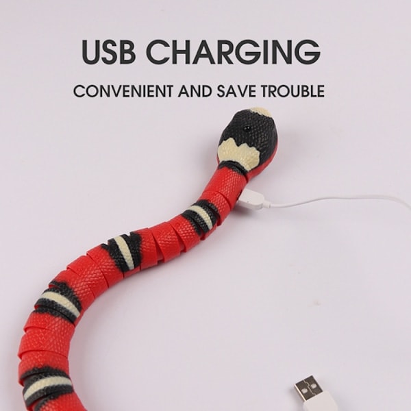 Paris Orm Kattleksaker, Med USB-laddning