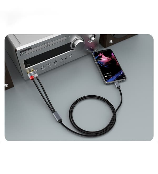USB-C til 2x RCA stereo lydkabel Grå