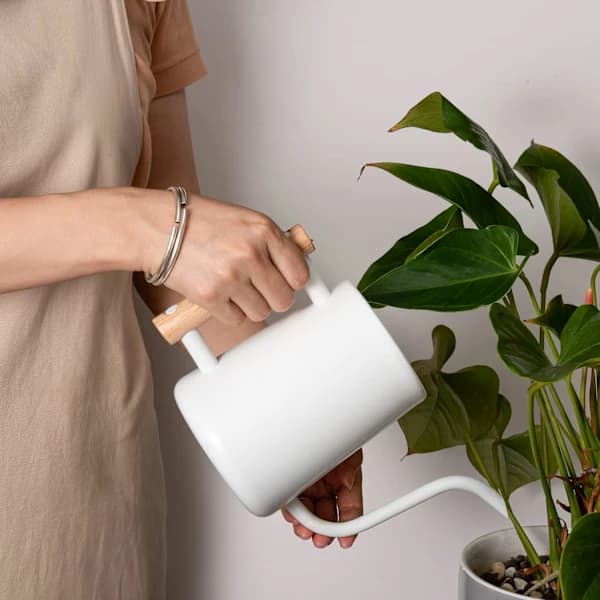 1L Indendørs Vandkande til Mindre Potteplanter i Rustfrit Stål