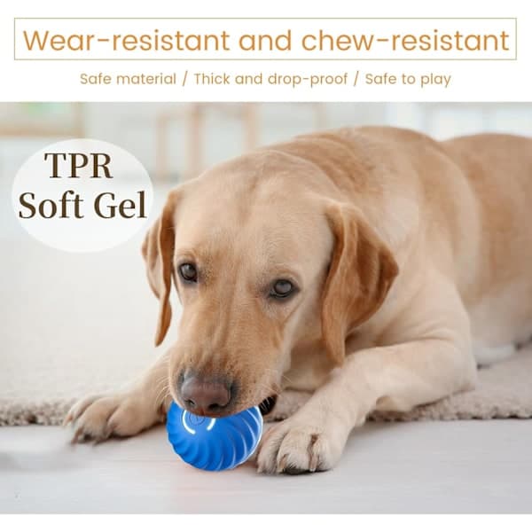 Paris Self-Rolling Ball for Dogs, Smart Self Moving Ball with 2 Modes Long Battery Life, Intelligent Teasing Cat Ball with Replaceable Shell