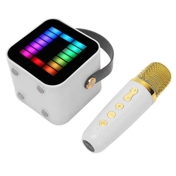 Mini Karaoke Machine Set RGB Pickup Light Digital Processing Chip Handhållen Bärbar Bluetooth högtalare med mikrofon Vit