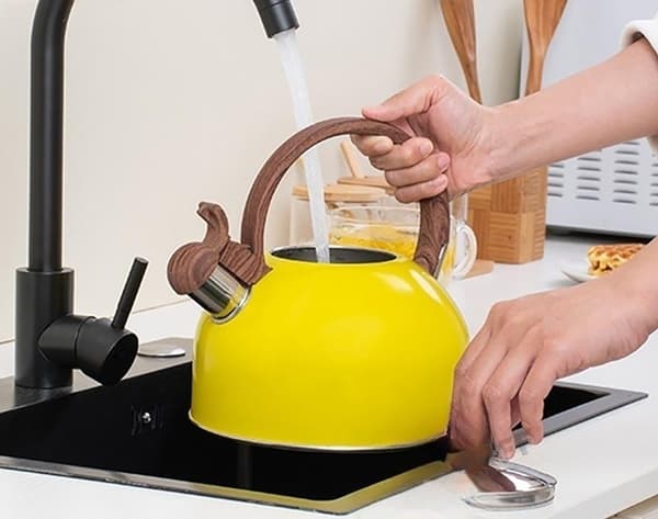 Visslande kedel 2,5 L rustfrit stål