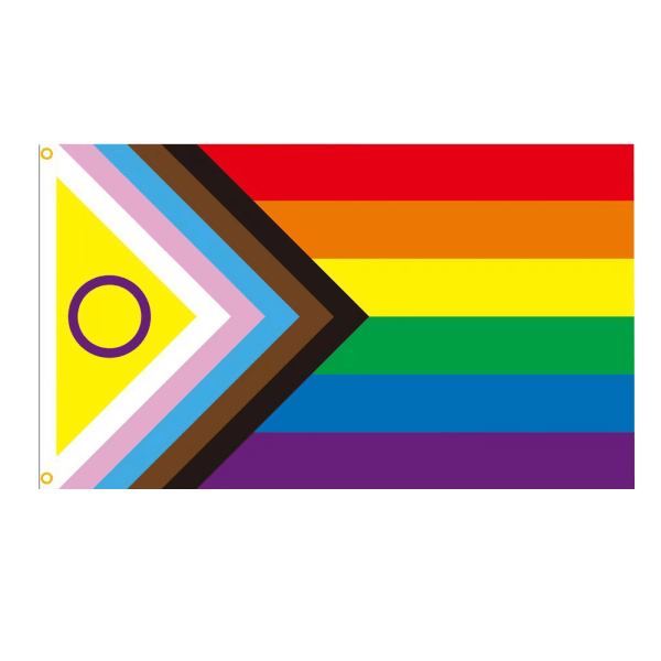 3x5 Feet Progress Pride Flag - Levande farger og blekningssäker - Rainbow Transgender lesbisk LHBT-flagg polyester med gjennomført