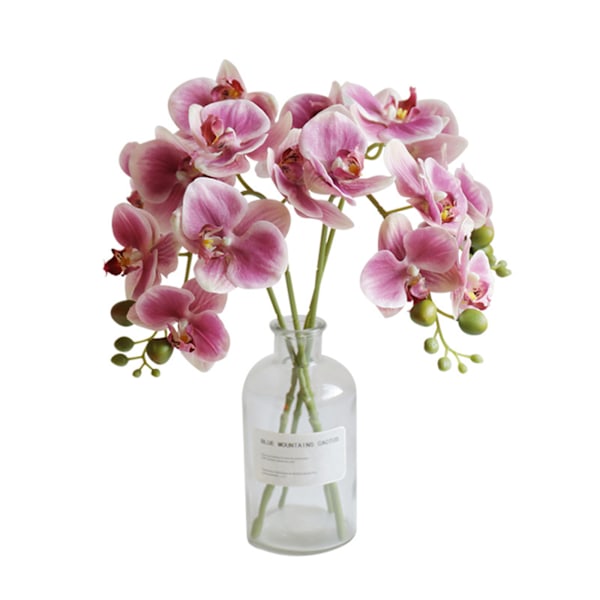 Phalaenopsis Simulering Blomster Kunstig Phalaenopsis Gren