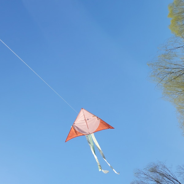 Tegneseriedrage Slitesterk Utsøkt Trekant Fargerik Drake Easy Fly Nybegynnerdrage for barn Voksne Oransje