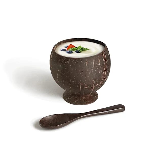 Lyslykt av kokosnøttskall, kokosnøttskål, kokosnøtt trebolle, dekorasjonsskål, oppbevaring Bo
