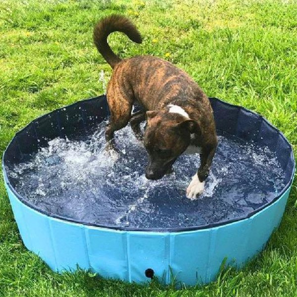 PVC Husdyrpool Bærbar Sammenklappelig Pool Hunde Badekar Katte