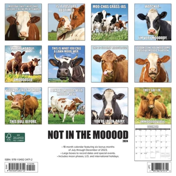 Funny Animal Calendar 2024 Kalender KYLLING KYLLING kylling chicken