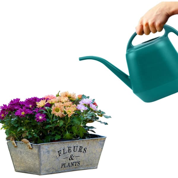 1 gallon grøn plastvandkande