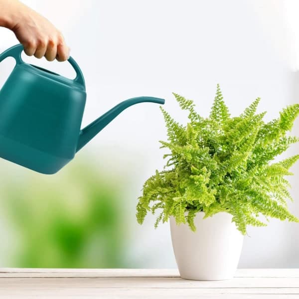 1 gallon grøn plastvandkande