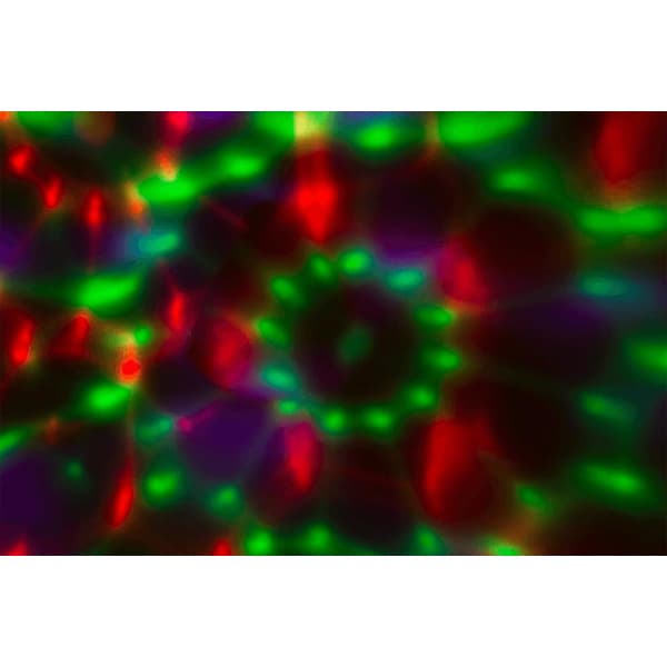 Disco Light / Colour Changing LED Lamp - Battery Operated Black