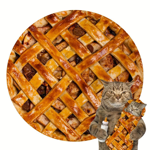 Rolig varm matfilt Supermjuk plysch filtar till sängsoffa Överkast Dekorativ camping picknick vinter varm filt Äppelpaj Apple Pie Round35inch(0.9m))