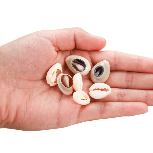 Naturliga Cowrie Spiral Shell Pärlor med 2 hål för DIY halsband B