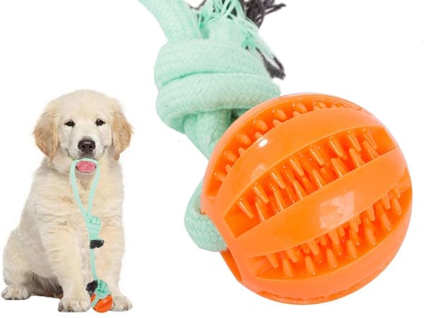 Træklegetøj med Bold / Kamplegetøj til Hund - Hundelegetøj—pa