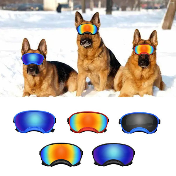 Justerbare Hunde Goggles Pet Anti-UV Solbriller 5