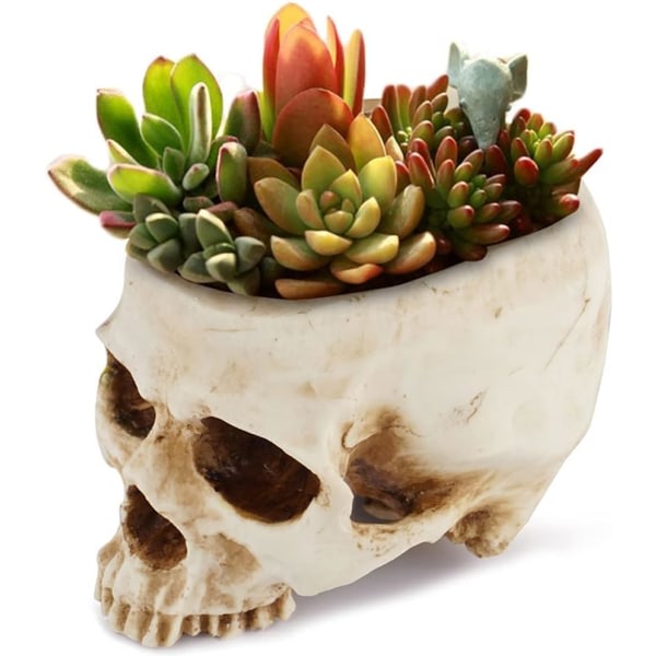 Skull Planter Resin Skalleformad blomkruka for skrivbordsdekoration for hemmakontoret