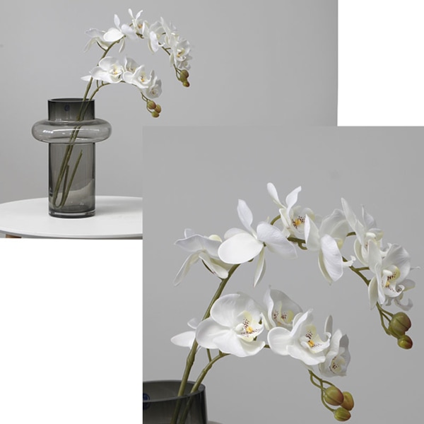Phalaenopsis Simulering Blomster Kunstig Phalaenopsis Gren