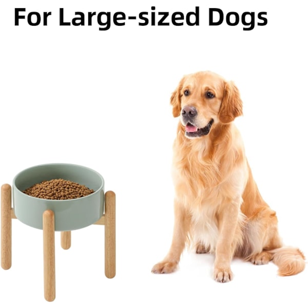 Keramisk Höjd Hundskål med Stativ för Mellanstora och Stora Hundar, Mat- och Vattenskål för Husdjur (Enkel Skål med Stativ - Ljusgrön, 21cm)