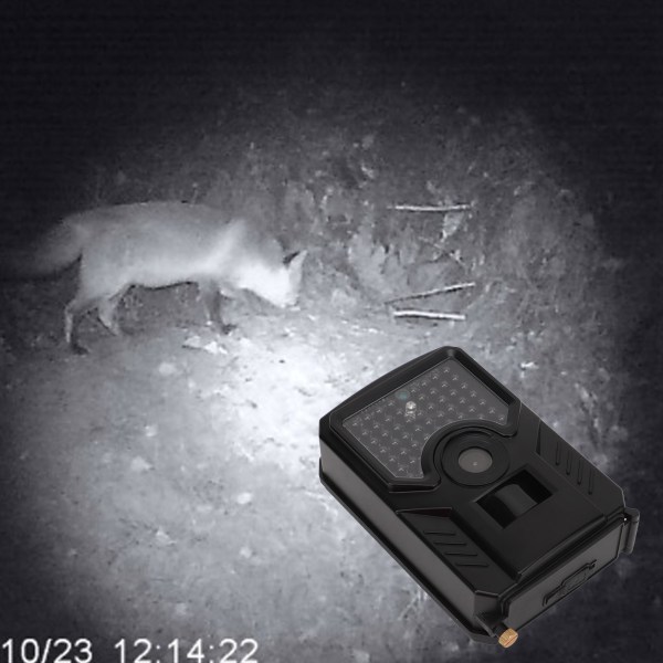 PR200B Trail Hunting Camera Vattentät IP56 Infraröd 12MP 1080P Wildlife Trail Camera Svart