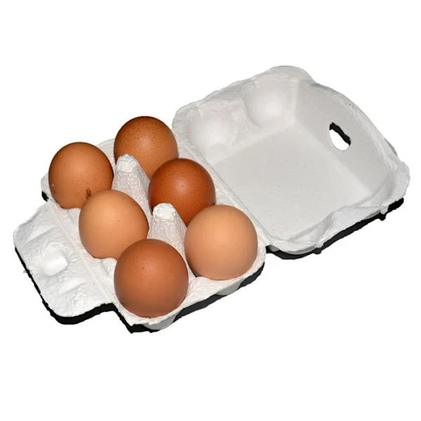 Egg Carton, Stackable Pulp Paper Egg Tray, Egg Holder for Refrigerator Storage, Kitchen, Retailers, Shipping, 10 Pack, 10.5x7.5x6cm