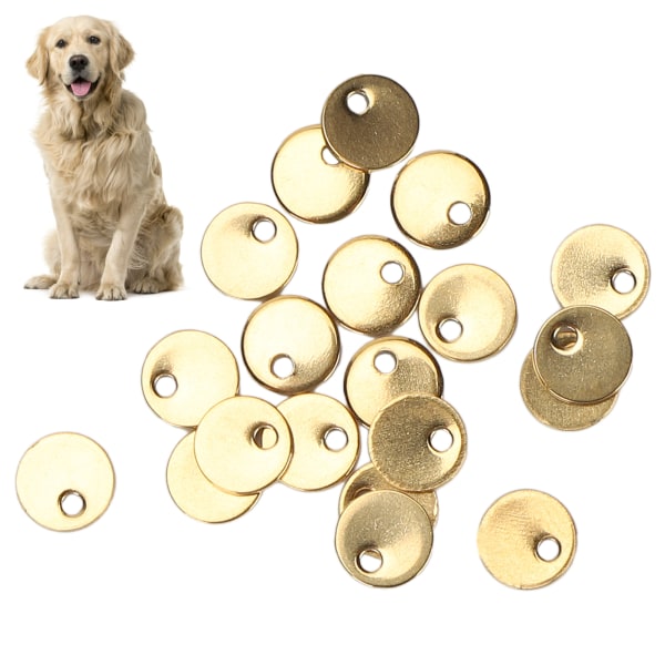 20 stk DIY Rund Pendel Rustfrit Stål Hundemærke med Hul Smykker Tilbehør Guld 6 mm