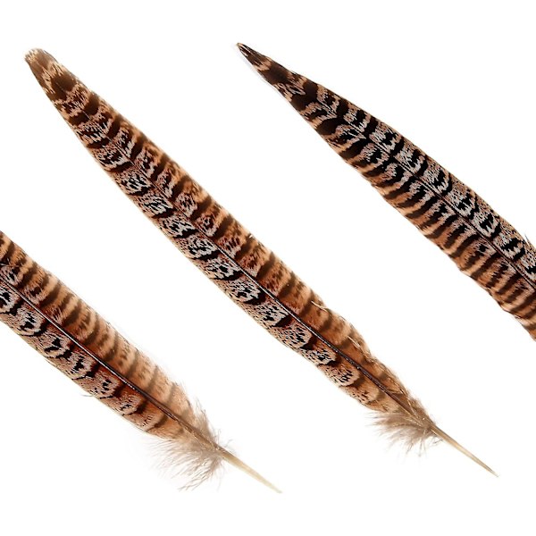 20 stk naturlige fasanfjer, hunfjer 6-8 tommer til gør-det-selv-håndværk, bryllupsfest midtpunkter, jul, hjemindretning