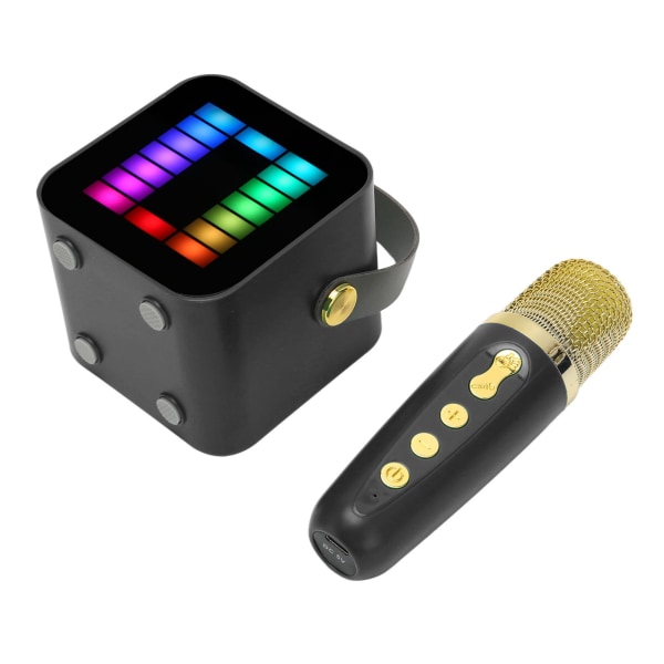 Mini Karaoke Machine Set RGB Pickup Light Digital Processing Chip Handhållen Bärbar Bluetooth högtalare med mikrofon Svart