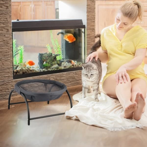 Stående hengekøye for katt
