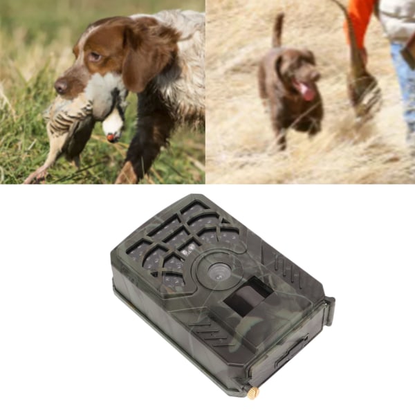 Jaktkamera Mini Outdoor Wildlife Trail Camera HD Infrarød IP56 Vanntett for skogsdyrovervåking