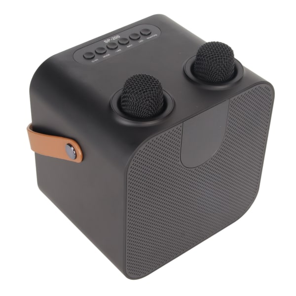 Karaokemaskine Bluetooth 5.0 understøtter USB-hukommelseskort AUX bærbar højttaler med 2 trådløse mikrofoner til fest