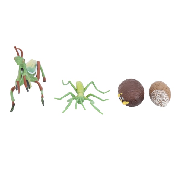 Growth Cycle Insects Legetøj Stærkt simulering Pædagogisk kognition legetøj til børn Børn
