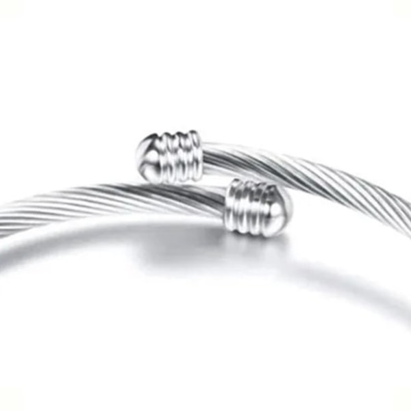 Titanium stålarmbånd Elegant klassisk simpelt design Armbånd i form af et hjerte til kvinder