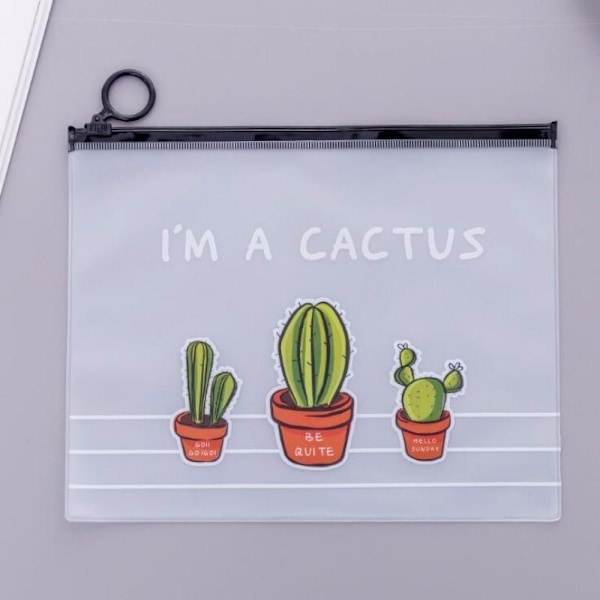 Cactus Mat Polish Transparent PVC A5 Filmappe Dokumentmappe Kontormappe Matches the image multi   Cactus