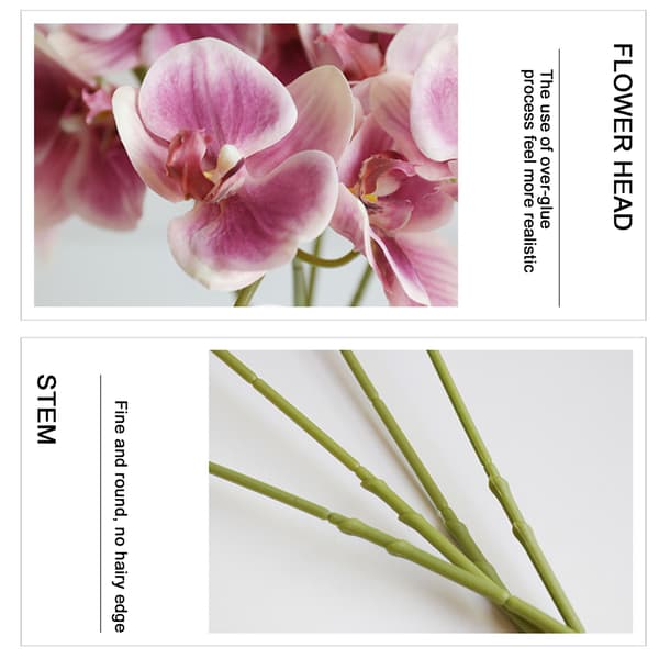Phalaenopsis Simulering Blomster Kunstig Phalaenopsis Gren