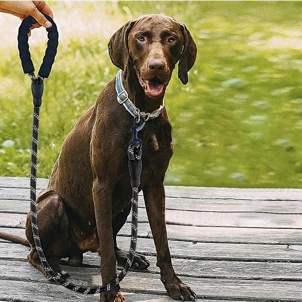 Hundesnor med refleks / Snor til hund - 3m Sort
