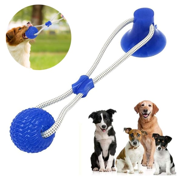 Sugkopp hundleksak, Pet Molar Bite Multifunction Interactive